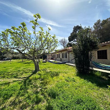 Finca Roberto Villa Can Picafort  Exterior photo